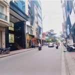 Nhà Mặt Phố An Trạch,Mặt Tiềnkhủng 9.7M, Xây Building Đẹp Đỉnh, 116M, 4 Tầng - 51 Tỷ