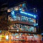 Vip! siêu đẹp! góc 2 mặt tiền thành thái- tô hiến thành quận 10, dtsd 600m2.