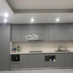 Mới! chính chủ bán gấp cc 96m2 3n 2vs cực vuông vắn giá chỉ 4.3x tỷ tại eurowindow river park