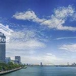 Cần bán lô đất lớn diện tích 9000m2 2mt đường hoàng sa