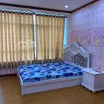 0937274317 cho thuê căn giai việt