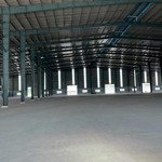 Cho thuê nhà xưởng 16.000m2 trong kcn bến lức, long an