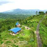 Homestay nghỉ dưỡng view săn mây tận phòng đường nhựa xe 16 chỗ lên tận nơi