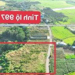 đất làm view sào 5421m2 view hồ lồ ô, long tân, huyện đất đỏ