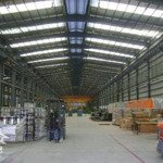 Cho thuê kho mới đẹp 2.000m2 tại mặt tiền tỉnh lộ 10, bình chánh.