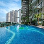 Chính chủ cho thuê căn hộ 2 pn 2vs sol forest ecopark - diện tích 84,75 m2 full nội thất