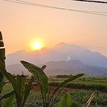 Cần chuyển nhượng 4250m có 800m thổ cư tại vân hoà ba vì hà nội