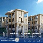 (không chênh) 5 căn quỹ thưởng đại lý lk, sl, tứ lập-vườn hoa, mặt hồ vinhomes cổ loa. giá bán 250 triệu/m2