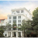 Building Góc Mặt Tiền Ngay Gần Hai Bà Trưng Q3