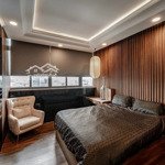 Penthouse 2pn sang trọng tại cmt8 p.5 tân bình