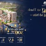 Chung cư bình an plaza. chủ đầu tư cập nhật bảng giá, chính sách bán hàng mới nhất 9/2024