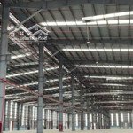 Cho thuê kho xưởng 24000m2 giá tốt cụm công nghiệp cần đước, long an