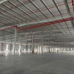 Cho thuê xưởng 50.000m2 trong kcn bầu bàng bình dương