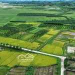 Hàng hiếm đất mặt tiền thích quảng đức, kdt hà quang 1, nha trang, khánh hòa