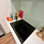 Cho thuê căn hộ 80m2, 2pn,2 wc,chung cư cao cấp park hill, q.hai bà trưng, giá 17 triệu.