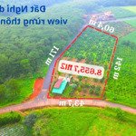 Chỉ 2,3 tỷ/1.000m2 đất siêu đẹp view rừng thông và đồi chè tâm châu bảo lộc