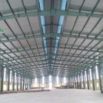 Cho thuê kho 3000m2 - sân 2000m2 ( xây mới có pccc )