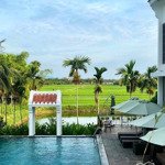 định cư mỹ nên bán villa view lúa gần biển an bàng ngay hai bà trưng kinh doanh tốt 42 tỷ-1065m2