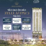 Bán nốt căn 3 phòng ngủ 127m2, capital elite bên cầu giấy, tiện ích all in one, ls 0% 18th. liên hệ: 0978995884