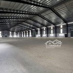 Cho Thuê 6800M2 Xưởng Trong Kcn Hải Sơn Long An