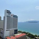 Bán căn studio gold coast view biển, toà nam, tầng cao, mặt lý tự trọng