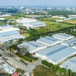 đất nền xã an bình, huyện phú giáo giá rẻ liền kề 4 kcn lớn - diện tích 250m2 sổ sẵn