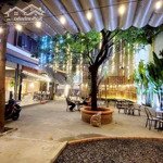 Bán gấp quán cafe 434m2 2 tầng có 29 tỷ lê văn khương hiệp thành quận 12 tp.hcm