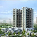 Bql cho thuê văn phòng tòa goldsilk complex cầu am, hà đông, hn, dt 125-1000m2, giá 126.000đ/m2/th