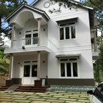 Cho Thuê Villa View Cực Phẩm, Phường 8, Đà Lạt