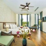 Hót - villa siêu đẹp - view sông, dừa cẩm thanh - hội an - 534m2 sân hội nghị - cực đẹp - 18tỷ