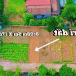Chính chủ gửi bán lô đất thôn 4 xã phú cát quốc oai hà nội