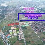 đất đấu giá hà nội 93,5m2 mt :5,5m giá chỉ hơn 40tr/m2 tại kim hoa mê linh hà nội