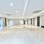 Cho thuê văn phòng vũ tông phan diện tích 100m2 giá bán 15 triệu view full kính