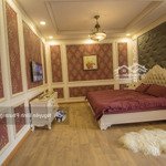 Villa Hiếm Hoi Đắc Địa Ngay Lõi Trung Tâm