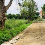 Cần bán đất đông thanh thích hợp xây nhà vườn, làm homestay, không khí mát mẻ quanh năm.