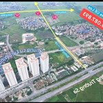 Chuyển nhượng đấu giá x2 thái bình,mai lâm,đông anh mặt đường liên xã mai lâm,cạnh vinhomes cổ loa.