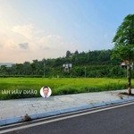 Đất Nền Vị Trí Đẹp - Bán Lô Biệt Thự 200M2 Hướng Đb Dự Án Phương Đông Green Valley Lương Sơn