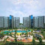 Rổ hàng giá gốc cđt diamond celadon city t10/24, chiết khấu lên đến 25%, miễn lãi vs gốc 36 tháng