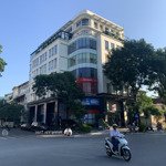 Tòa building 8 tầng - mặt phố kim mã 55m2 - 41,5 tỷ - 8tầng - lô góc - kinh doanh đa dạng