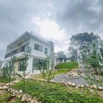 Quá chill với căn villa nghỉ dưỡng vùng ven, có suối đá tự nhiên, có view đồi thông mát mẻ