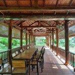 Cho thuê khu nghỉ dưỡng đa năng 10.000m2. như resort. - tại phước thạnh châu thành bến tre