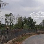 Khách muốn tạo view nghỉ dưỡng. nhà vườn tham khảo xã bình ba, châu đức, brvt