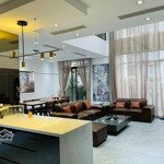 Duplex siêu đẹp roman plaza, 189m2, 3 ngủ 3vs, đầy đủ nội thất đẹp, chỉ việc về ở, giá hơn 10 tỷ