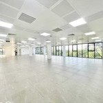 Cho thuê văn phòng mới đường trần nhật duật, tân định. dt: 200m2 - 260m2 - 350m2