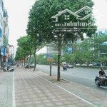 Cho thuê nhà mặt phố xã đàn, ô chợ dừa, 120 m2 x 8 tầng, 1 hầm,mặt tiền8m, giá bán 250 triệu/tháng