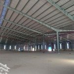 Cho thuê kho xưởng 5000m2 -126.000m2 trong kcn phú mỹ, bà rịa vũng tàu