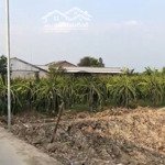 Bán đất long an - đất lớn có 1 phần thổ cư