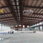 Cho Thuê Xưởng 5000M2 Chỉ 170 Triệu Gần Kcn Giang Điền, Trảng Bom