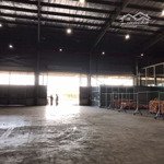 Cho thuê kho 25.000m2, nguyễn văn linh,quận 8,pccc tự động, cont tự do