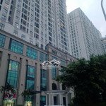 Cần bán gấp biệt thự vip roman plaza tố hữu - vị trí đắc địa - view trường học - kinh đẳng cấp